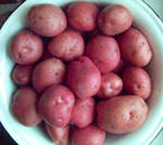 отборный   картофель