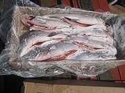 Рыба Алматы