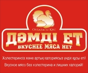 ТОО 
