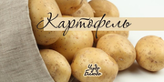 Картофель в большом количестве звонить 8-777-655-86-20 8-701-679-92-43