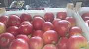 Продаю яблоки из Молдавии
