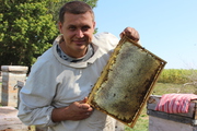 Мед продаю оптом гречишный,  горно-степное и полевое разнотравье