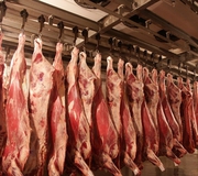 АКЦИЯ!!!свежее мясо говядины первой категории 930тг оптом