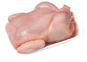 Реализую Мясо курицы оптом